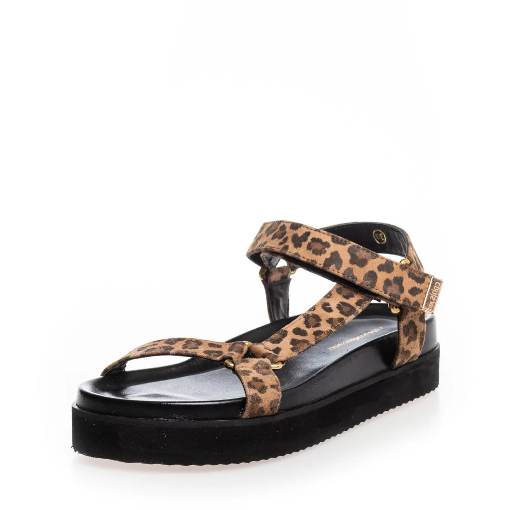 ADVENTURE LEO - LEOPARD