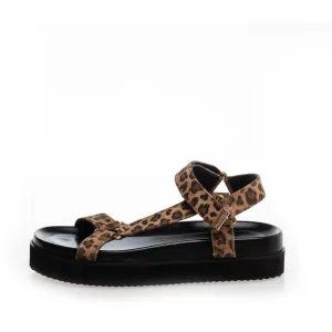 ADVENTURE LEO - LEOPARD