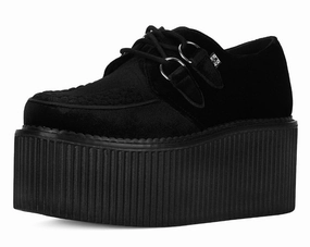 Black Velvet Stratocreeper