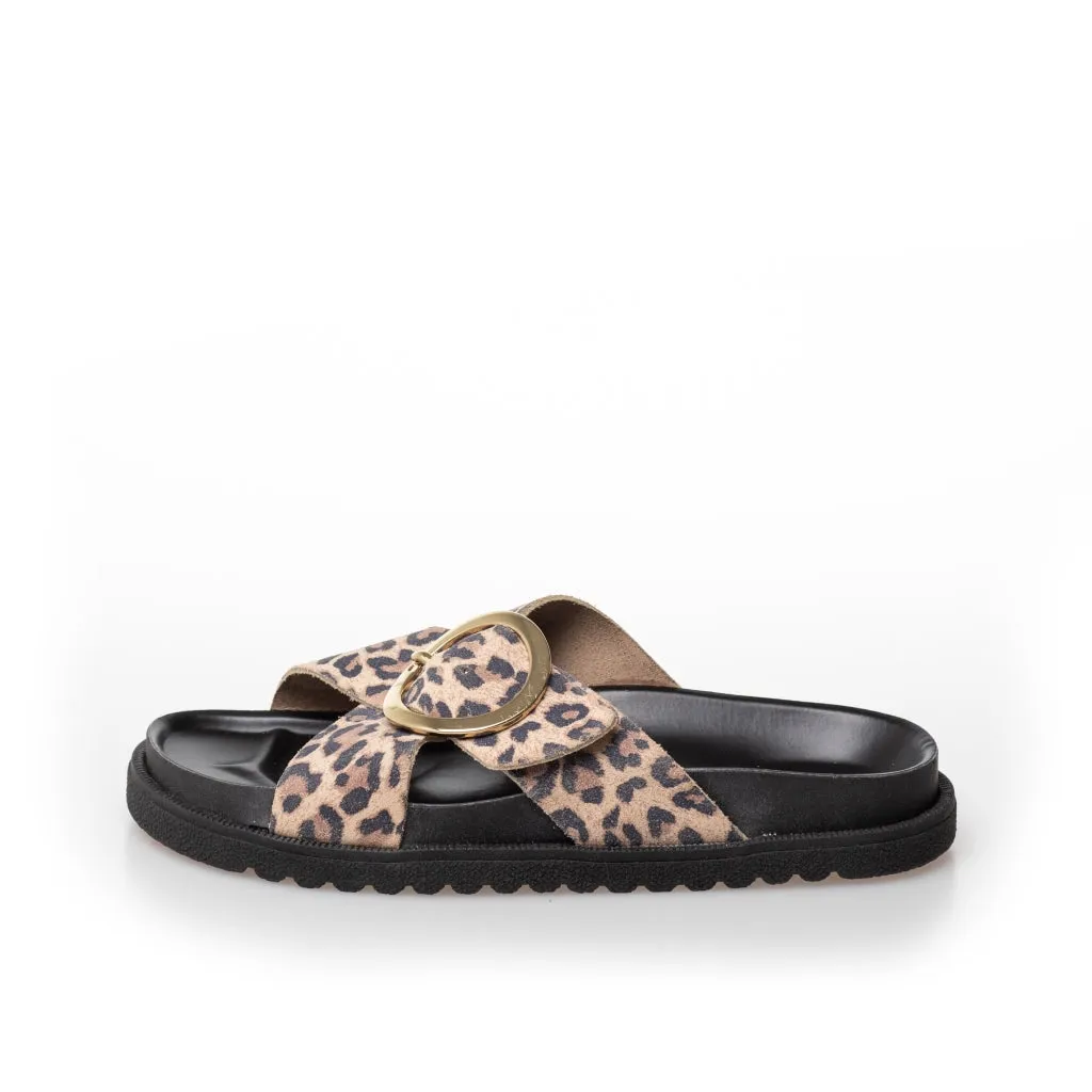 DREAMING OF SUMMER LEP. - Leopard