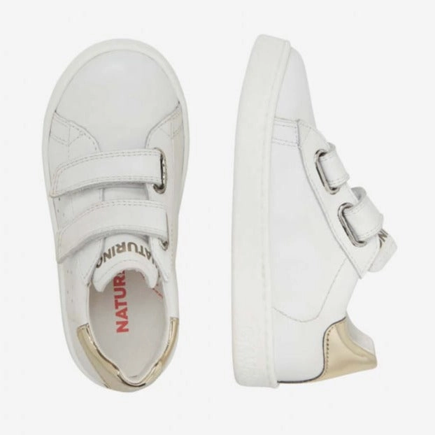 Hasselt II VL - White-Platinum||Hasselt II VL - Blanc, dor
