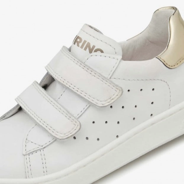 Hasselt II VL - White-Platinum||Hasselt II VL - Blanc, dor