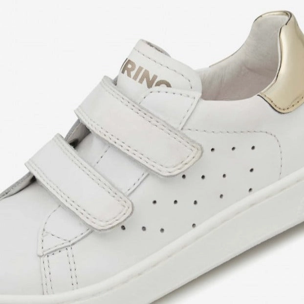 Hasselt II VL - White-Platinum||Hasselt II VL - Blanc, dor