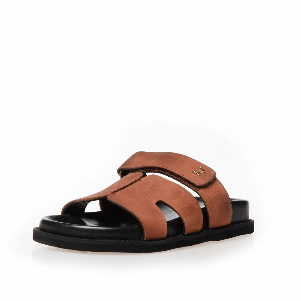 JUST SUMMER - COGNAC