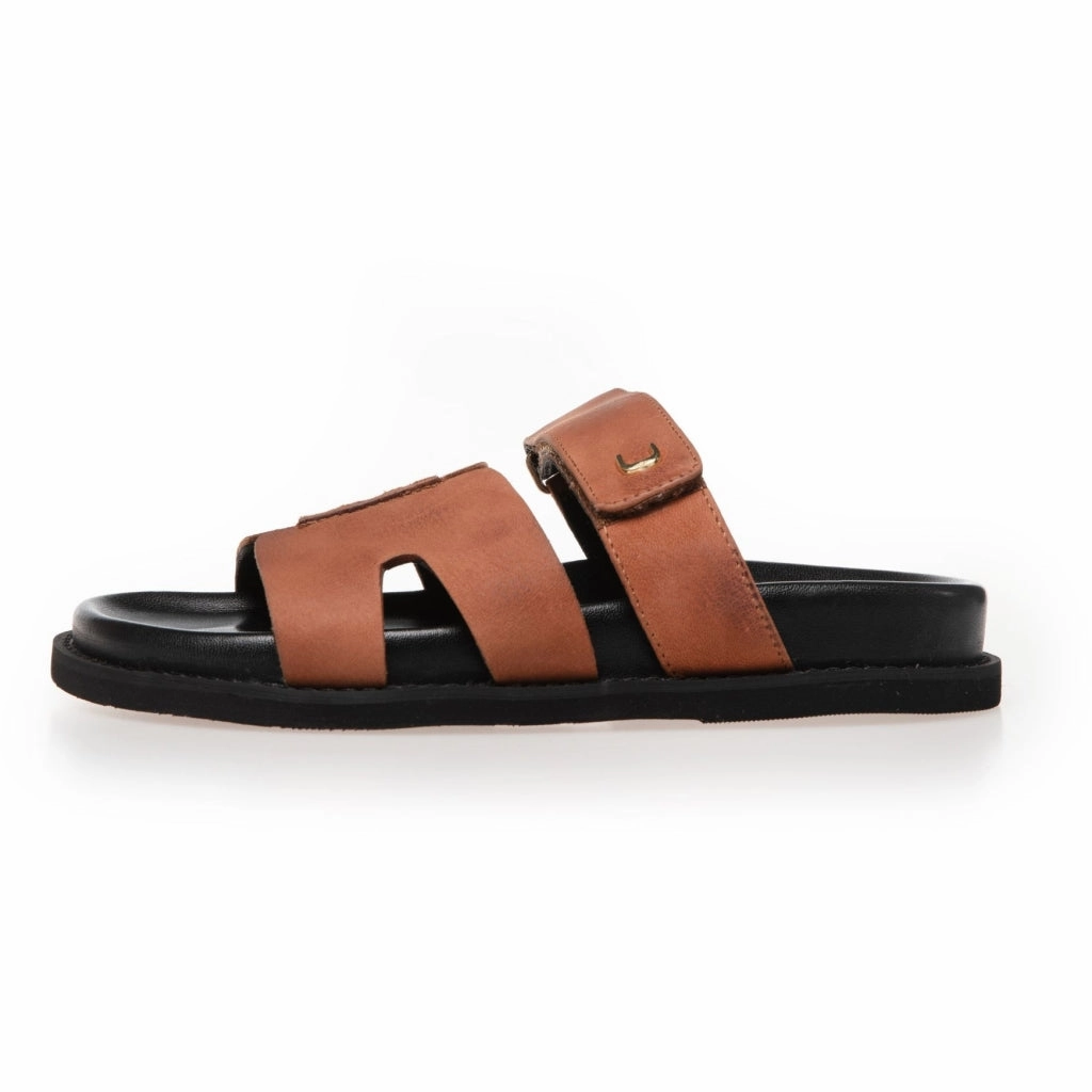 JUST SUMMER - COGNAC