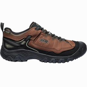 Men's Targhee IV Waterproof Hiking Boot