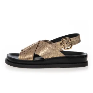 NEW STRONGER - GOLD PRINT - GOLD