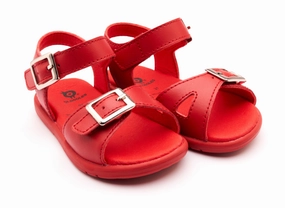 Old Soles Fresh Cut Rojo / Rojo Sole