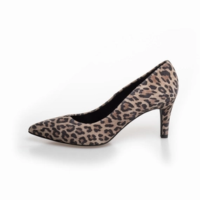 SIESTA - Brown leopard