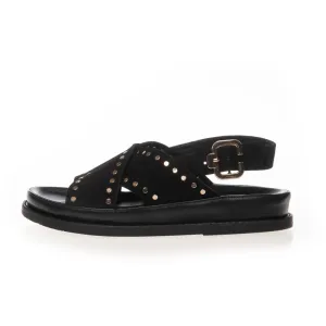 STRONGER STUDS - BLACK