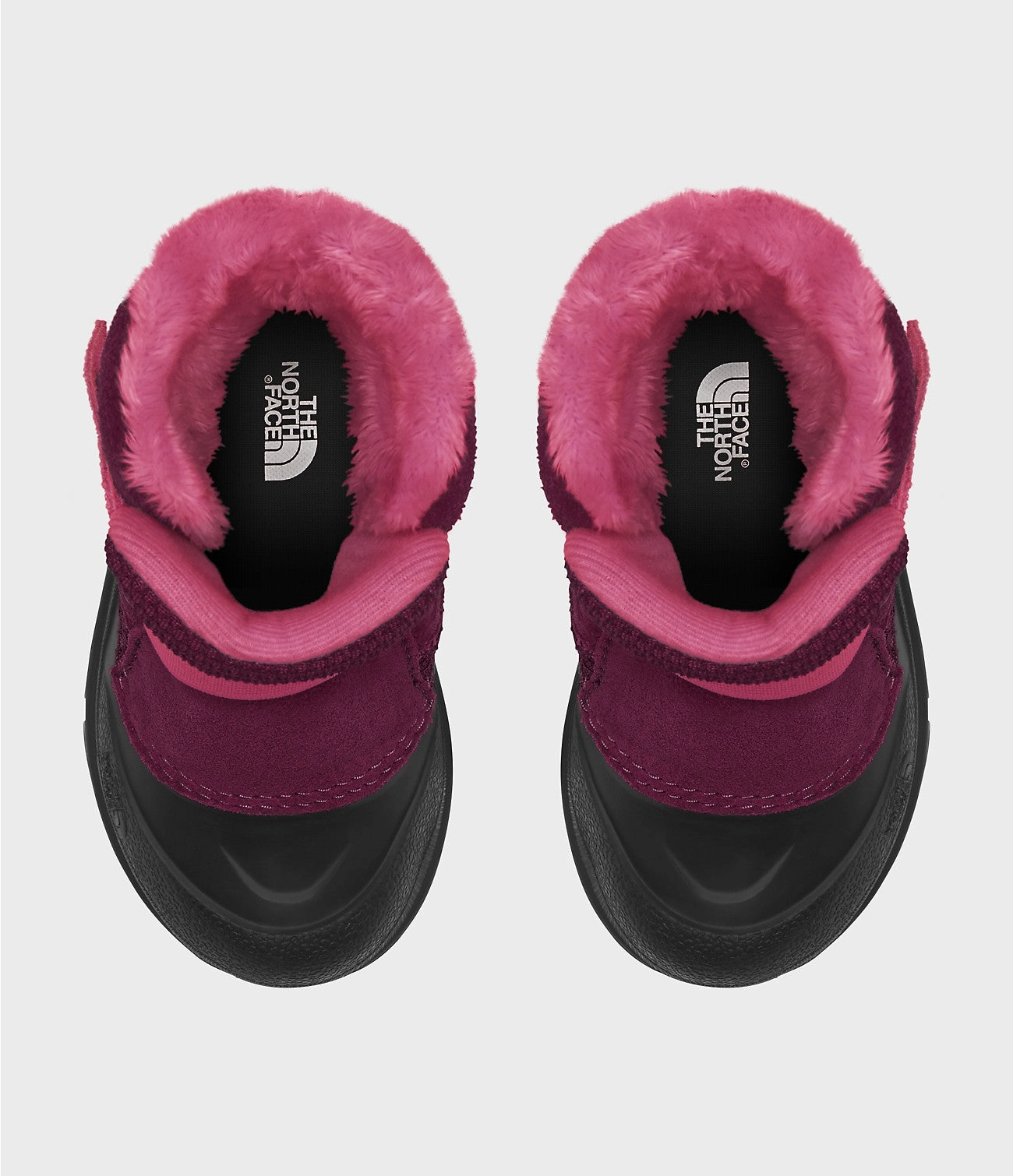 Toddler Alpenglow II - Boysenberry/TNF Black