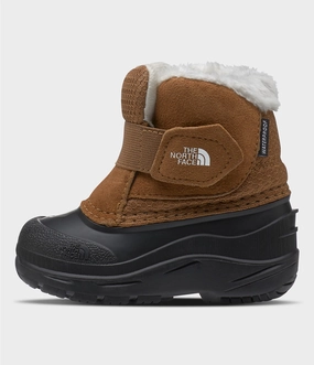 Toddler Alpenglow II - Toasted Brown/Toasted Brown